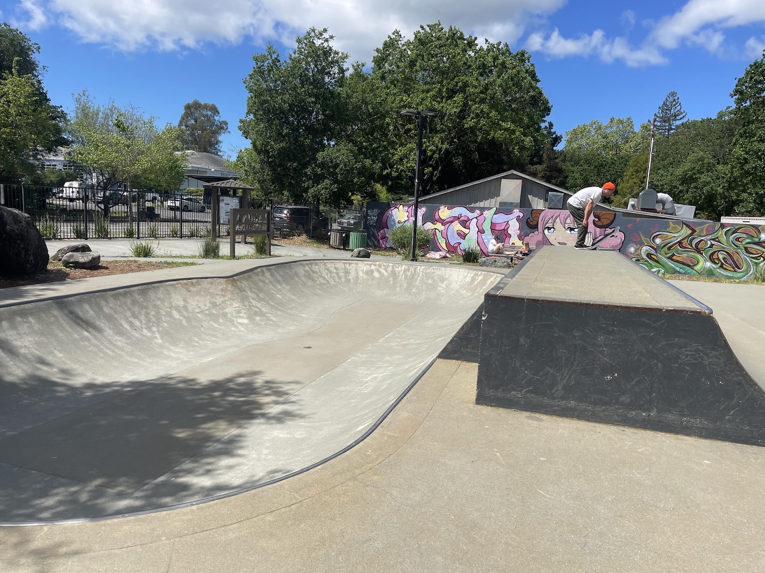 Sebastopol Skatepark